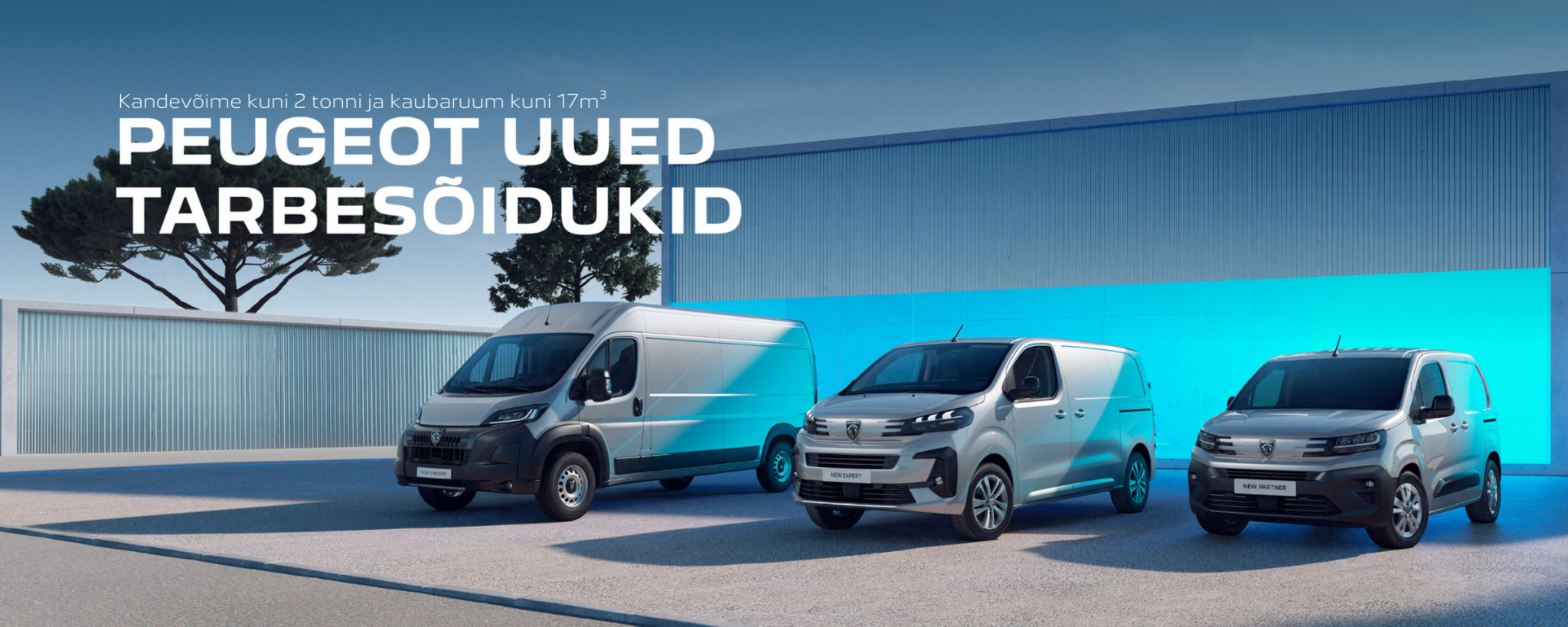 LCV kaubikud